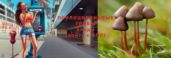 дживик Белокуриха
