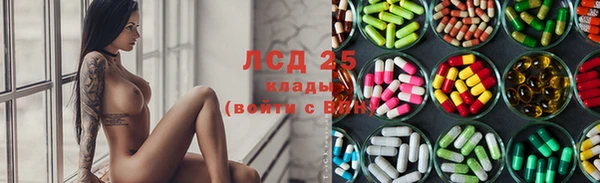дживик Белокуриха