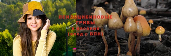 трава Беломорск