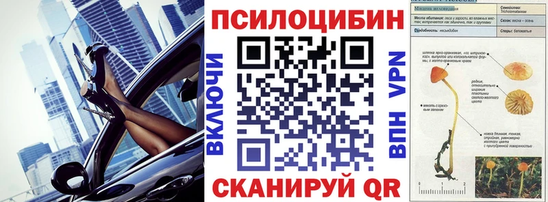 даркнет формула  Красноуфимск  Галлюциногенные грибы прущие грибы  OMG зеркало 
